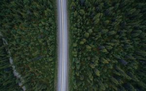 Mengikuti Manhaj Salaf dalam Beragama