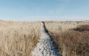 Sasaran Zakat Fithri Ditujukan Bagi Faqir Miskin Muslimin Saja