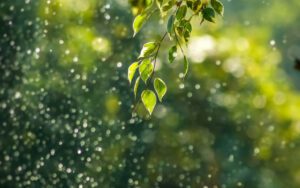 Kasih Sayang dan keadilan Ahlussunnah kepada para Makhluk Allah