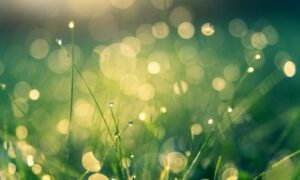 Kisah Tobat Pembunuh 100 Jiwa