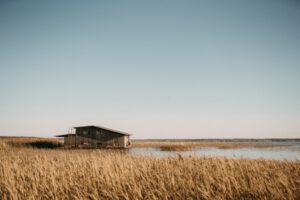 Berkata Baik atau Diam