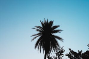 Sebagian Hadits Tentang Puasa Hari Asyura (10 Al-Muharram) dalam Shahih Muslim