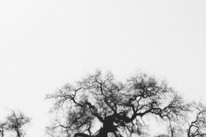 Hukum ucapan berkabung saat kematian orang kafir dan hukum mendoakannya