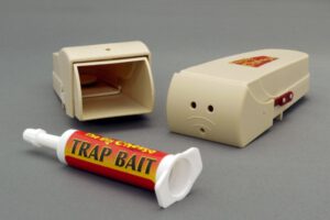 Sedikit Ketentuan Tentang Membunuh Tikus