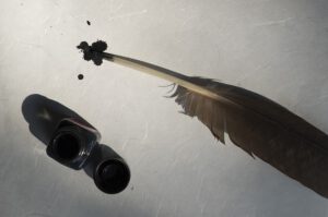 bird-feather-g0ed0ed983_640