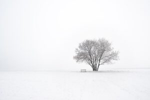 winter-g0a83e2a06_640