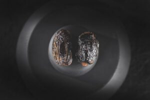 date-palm-g35d5b3909_640