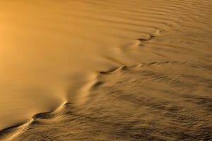 Photo by Peggychoucair